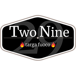 TwoNine logo