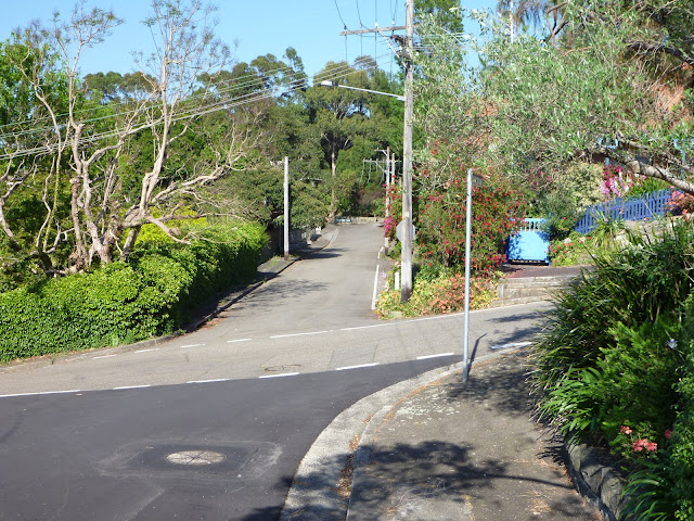 Sydney to Thornleigh via Lane Cove Tourist Park walking track