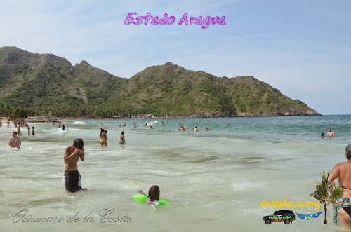 Bahia de Cata, Estado Aragua, Entre las mejores playas de Venezuela
