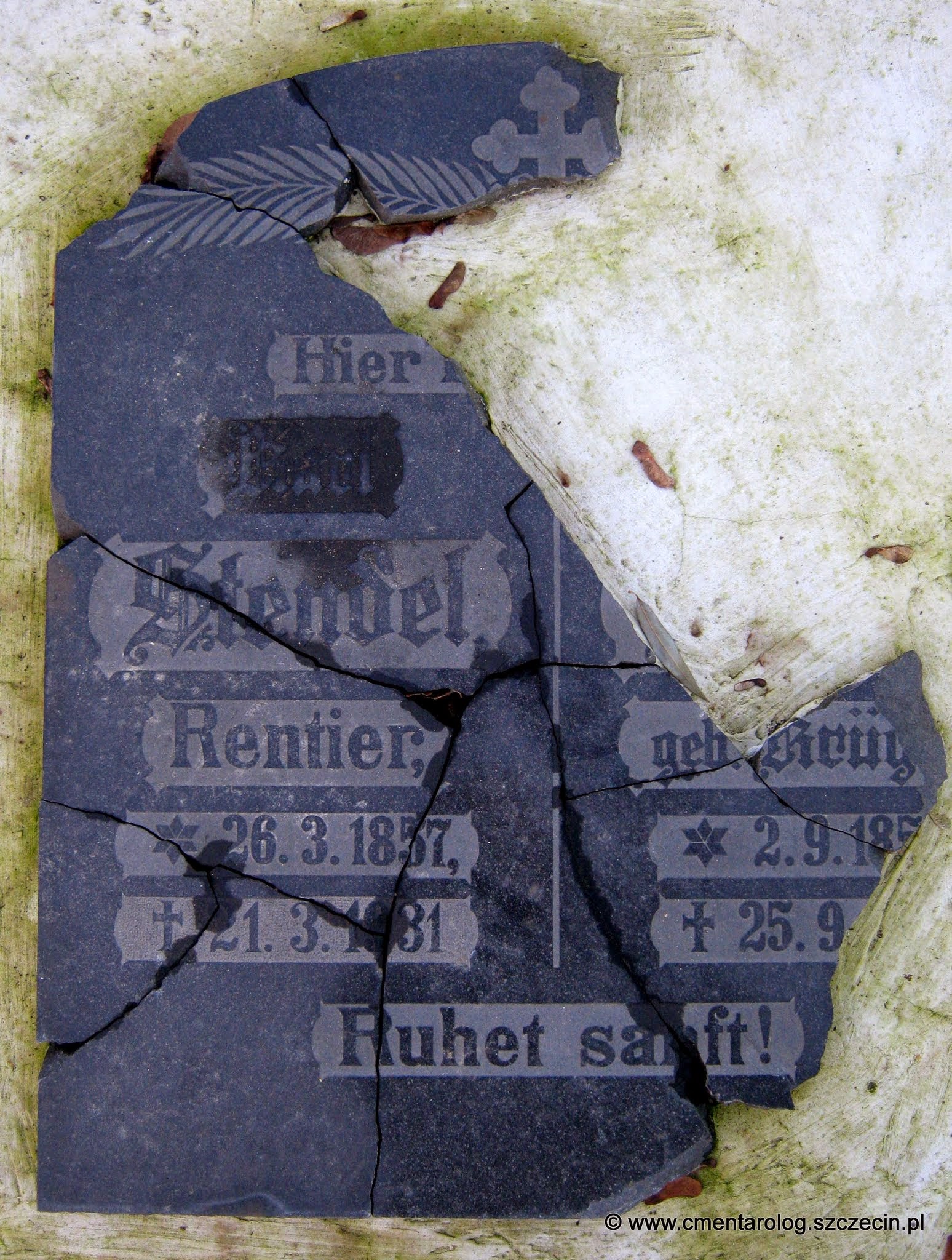 Nagrobek Karla Stendela (cmentarz przy ul. Smutnej, Szczecin - Klęskowo, fot. Agata Freindorf, 2014 r.)