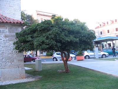 Photos of Gospe van Grada