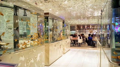 Time for some Northern Chinese on Sunday lunch at Caesar's Palace at Beijing Noodle No. 9. The entrance includes a little hallway full of tanks of goldfish (they are all for show, not for eating!)