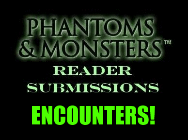 Reader Submissions Encounters