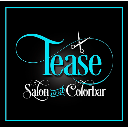 Tease Salon And Colorbar logo