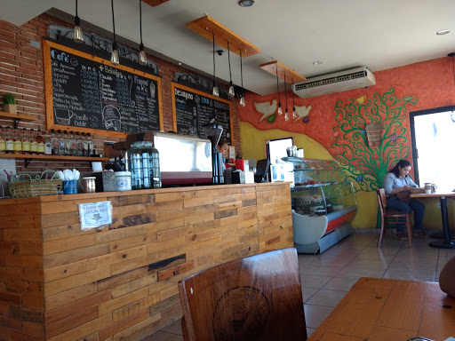 Cafe Exquisito, Carr. Transpeninsular 11, Fraccionamiento Campestre, 23205 La Paz, B.C.S., México, Restaurante de postres | BCS