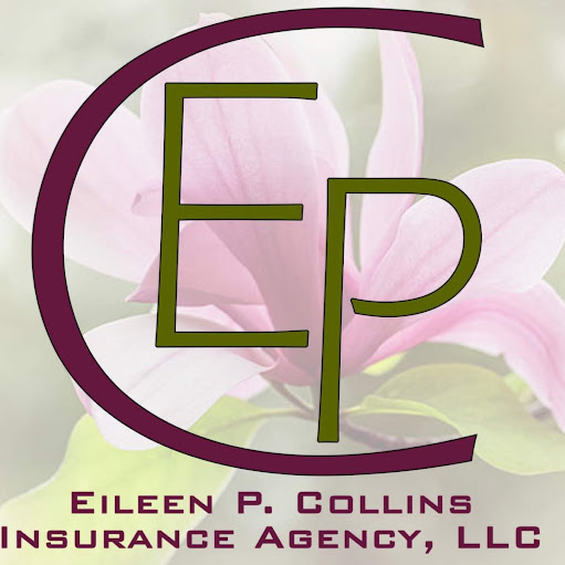 Eileen Collins Insurance Agency logo
