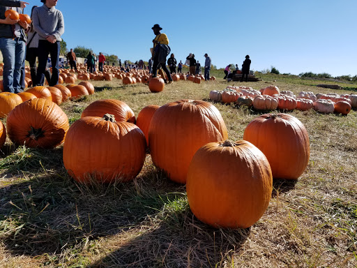Outhouse Orchards