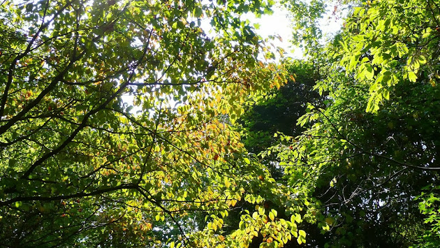 Cover photo