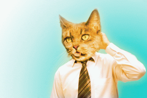 animated gifs animated gifs tumblr