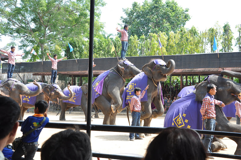 Шоу слонов в парке Нонг Нуч