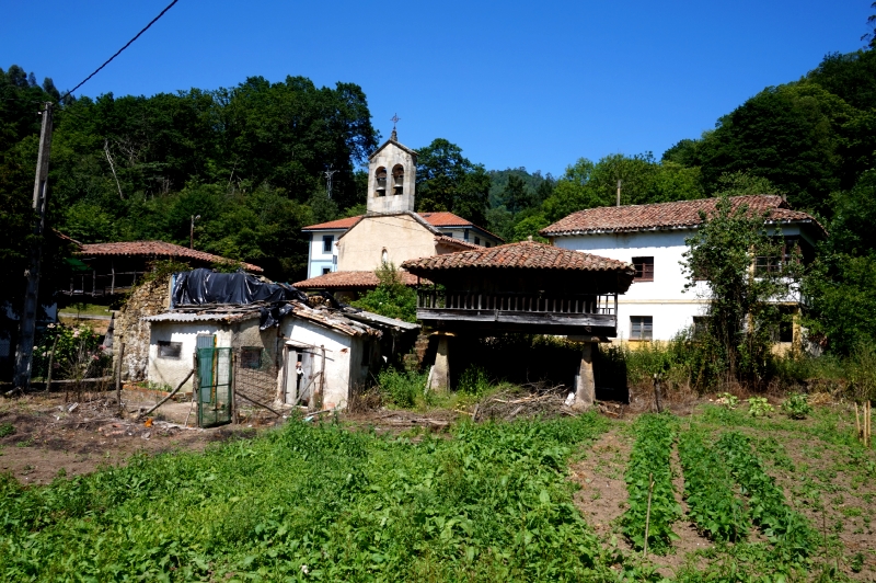 Senda Fluvial del Río Viacaba (Cabranes) - Descubriendo Asturias (6)