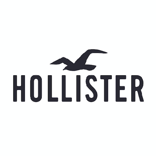 Hollister Co. logo