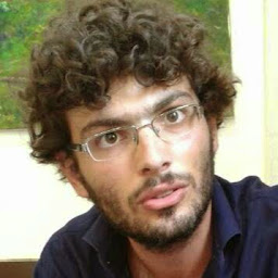 avatar of Gianluca Micchi