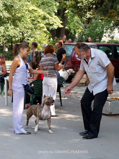 Качена снимка