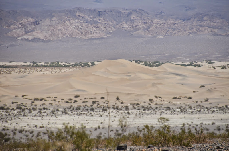 mesquite sand dunes