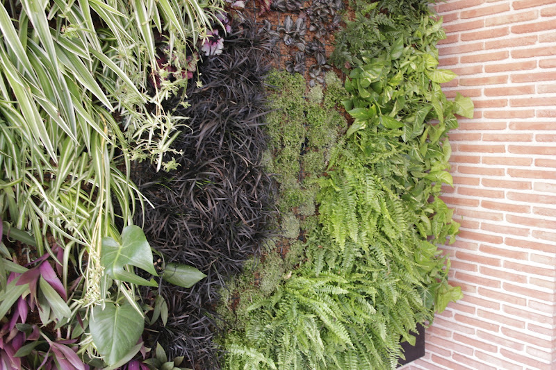 jardín vertical leaf.box alicante jardinería green wall jardineria en la pared