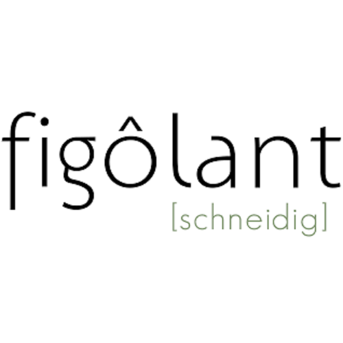 Figôlant - Friseur in Egg logo