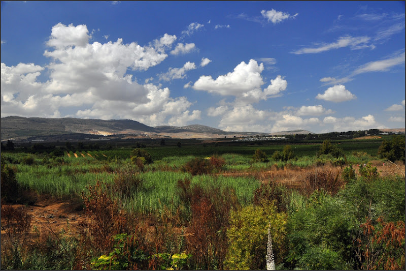 И снова Прекрасный Север (Израиль, Сукот 2012).