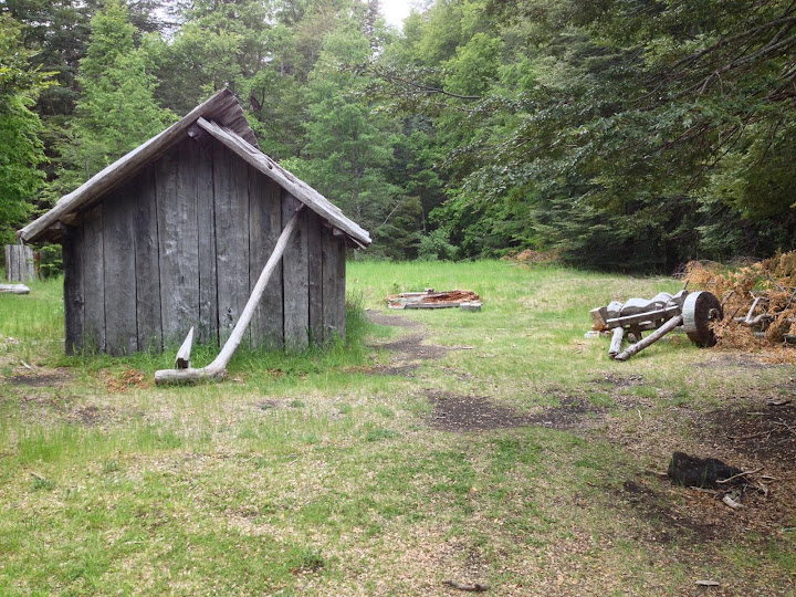 IMG_2019%2520Old%2520house.JPG