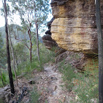 Track up to Bunyan Lookout (74424)