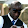 Carl Brereton Carl Brereton's profile photo