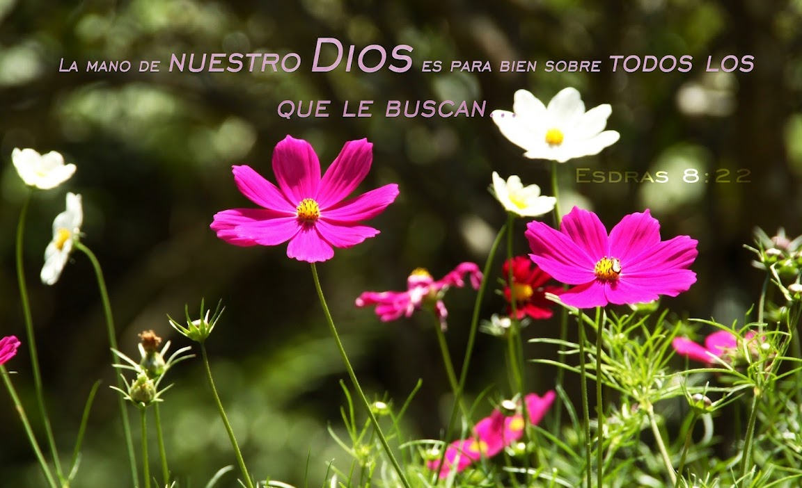 La mano de nuestro Dios es para bien sobre todos los que le buscan