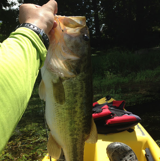 Opinions of trailer hooks on spinner baits - Fishing Tackle - Bass Fishing  Forums