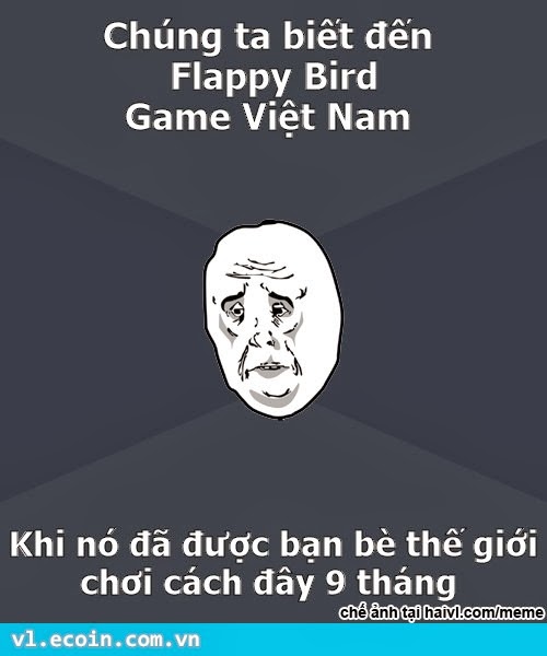 Phong trào Flappy Bird