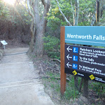 Track sign at Wentworth Falls Lookout (180459)