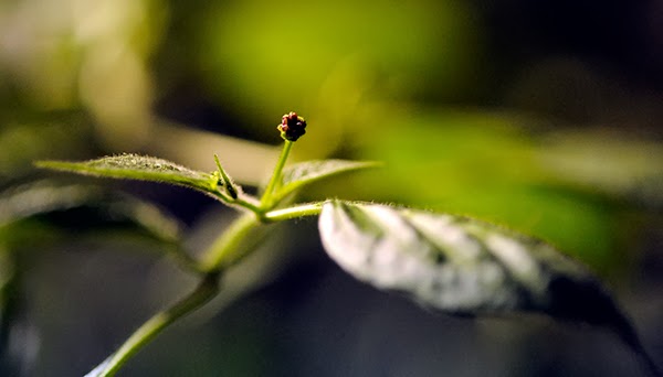 _DSC5719_klein.jpg