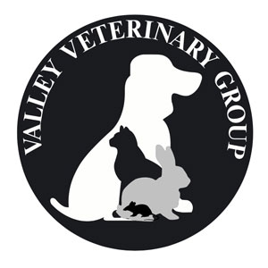 Valley Veterinary Group - Stewarton