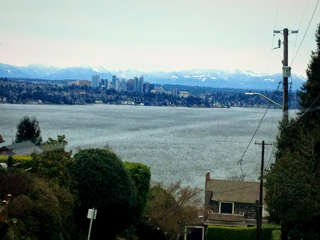 Seattle from on top of Cherry Hill looking east over Lake Washington at the Cascade Mountains and the Bellevue Skyline.