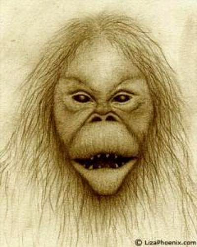 Bigfoot Evidence Pritchett Family And Skunk Ape