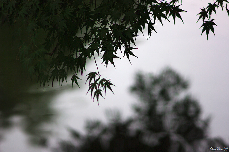 朝探靈隱‧暮訪白隄