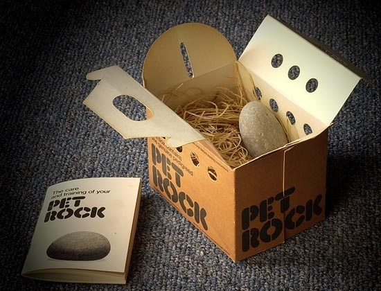 Pet Rock, People Actually Buy This?