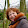 Toon Kerssemakers Toon Kerssemakers's profile photo