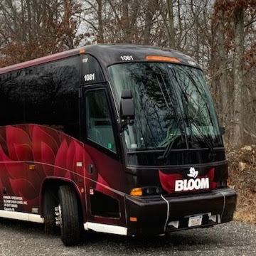 Bloom Tour and Charter Services