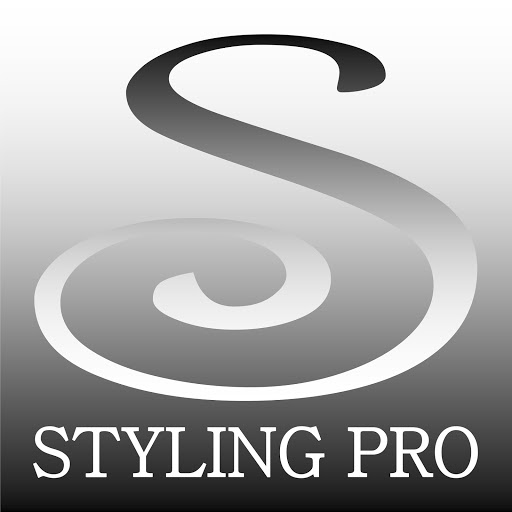 Styling pro logo