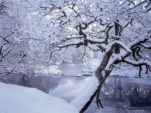 Snowy_Riverbank.jpg