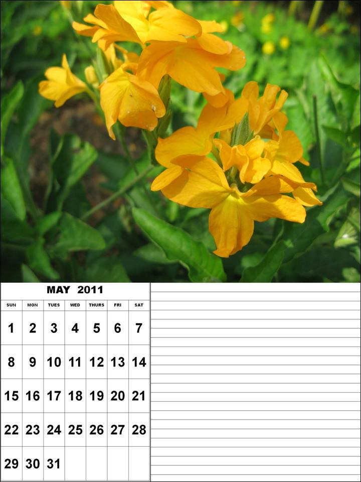 2011 Calendar April And May. april and may 2011 calendar