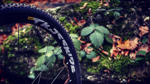 Mavic