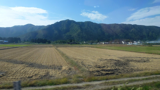 Fields and mountains