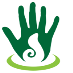 Hands Plus Physical Therapy logo