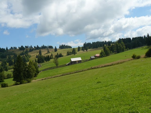 2011.Erd%2525C3%2525A9ly%252520107.jpg