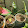 Nisa Suhardi Nisa Suhardi's profile photo