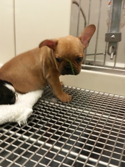 Photos of Petland Wichita