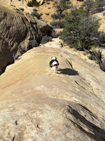 Torrey descending a sandstone fin