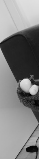 Cover photo
