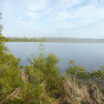 Views out over the Belmont Lagoon (390206)