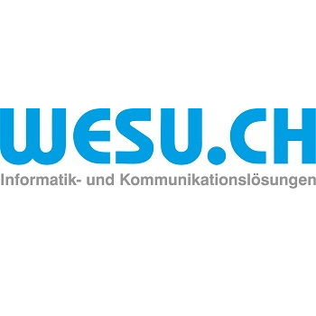 WESU CleverNet GmbH logo